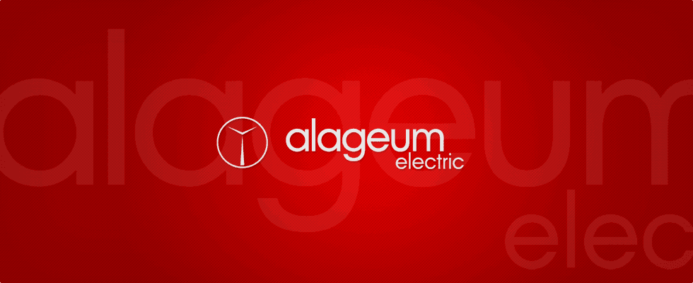 Акционер семейной бизнес компании Alageum Electric (600 млн долларов США)